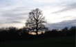 Cheshunt Park at Dusk 